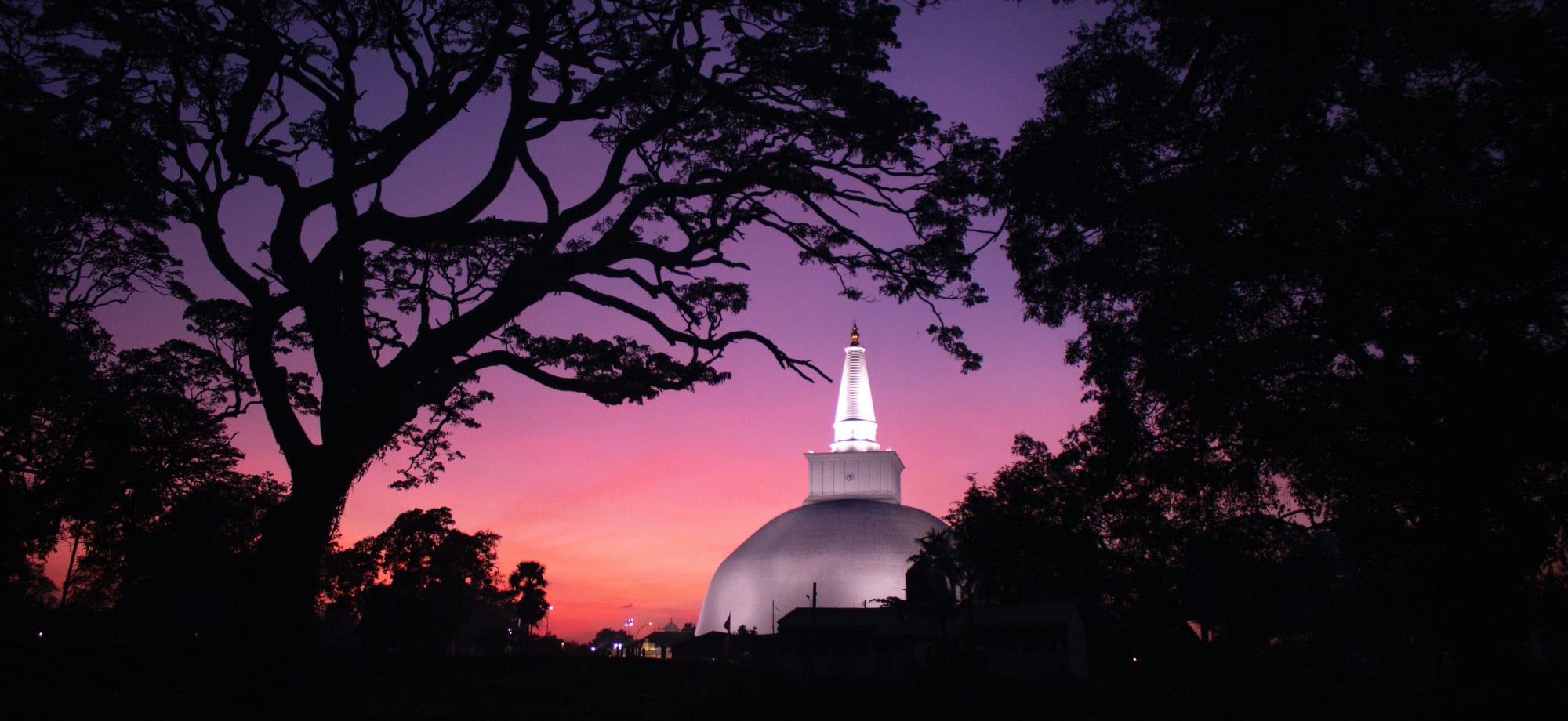 Anuradhapura_Free_Stock_Image_Pexels_CCChathura_Anuradha_Subasinghe_rpmezb-1