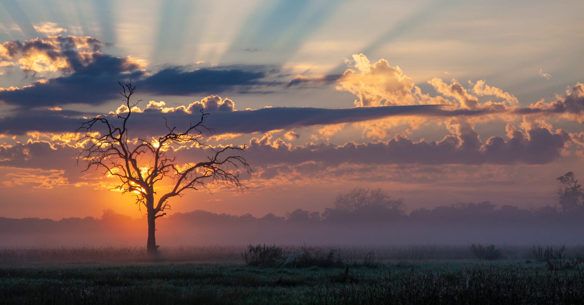 Botswana Safari: Where to go, where to stay and what to see