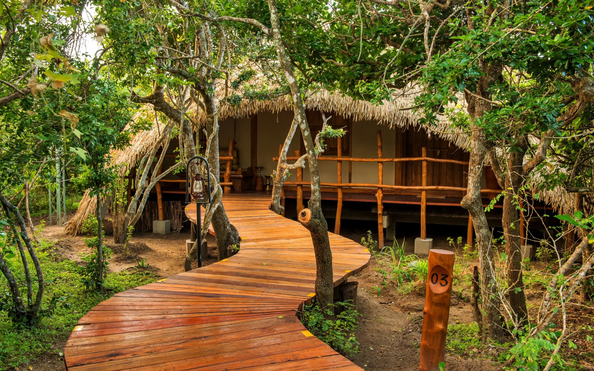 A wooden pathway leads to a thatched chalet surrounded by trees. 