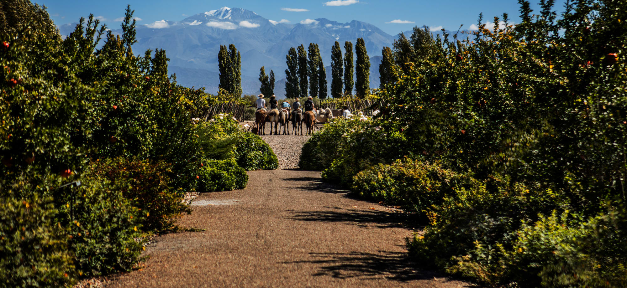 The Andes tower in the background with snow-capped peaks, and in front of them is a large group of horse riders. 