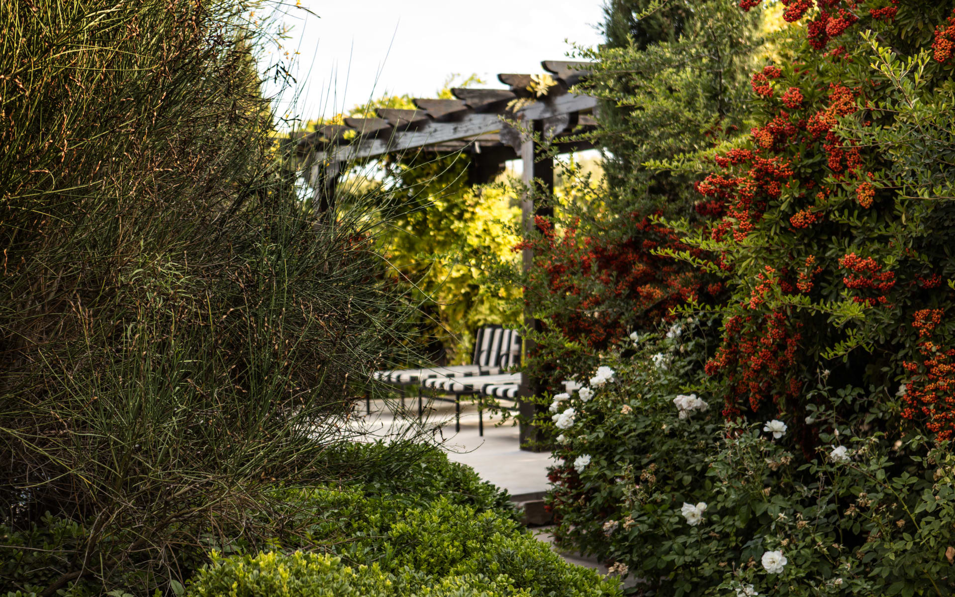 The gardens at Canvas Wine Lodge are surrounded by shrubbery and bushes and have sun loungers. 
