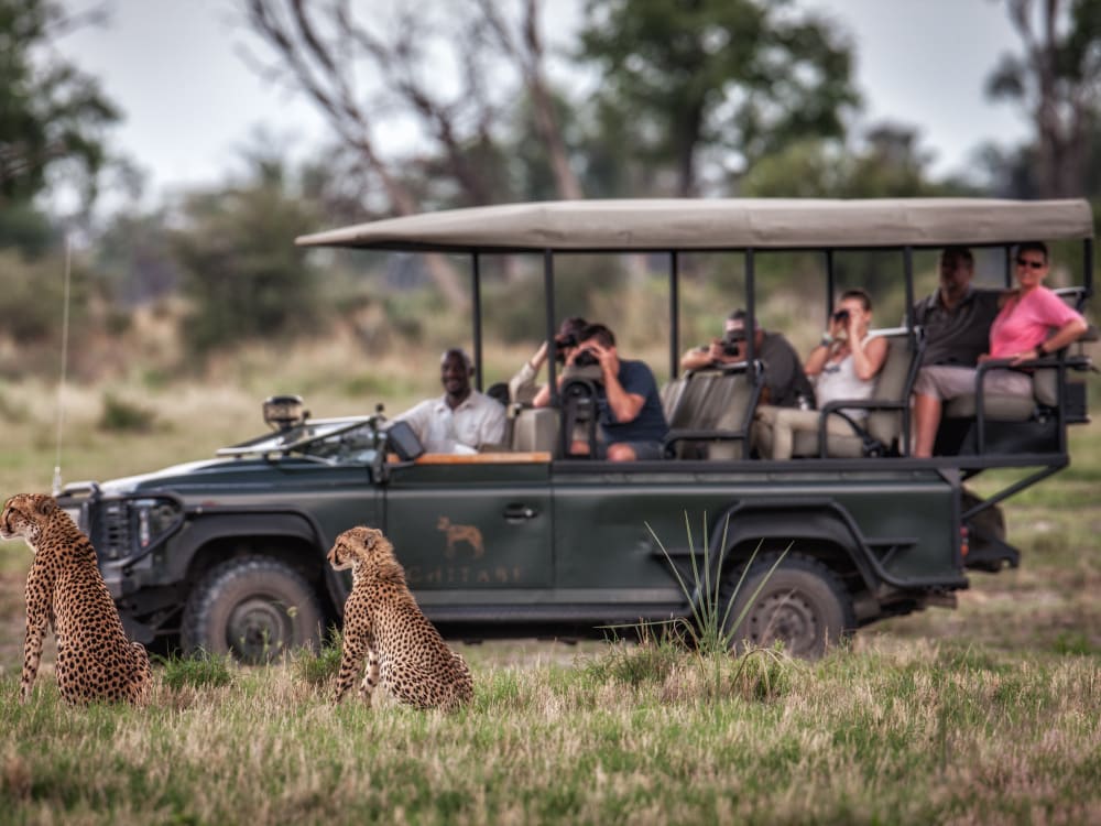 Chitabe_Camp_Game_Drive_jwepkj-1