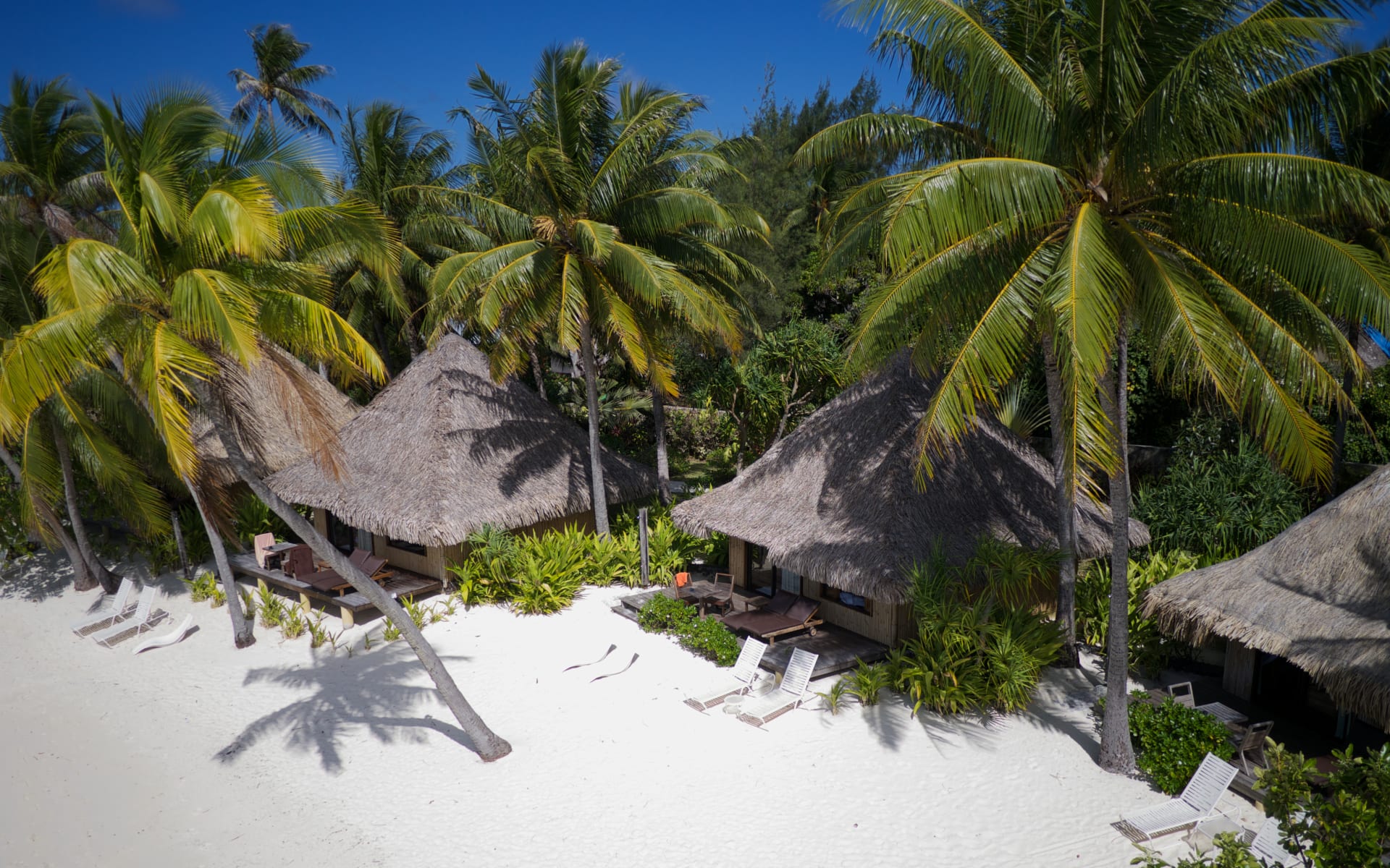 Thatched-roof villas are surrounded by palm trees and a white beach.