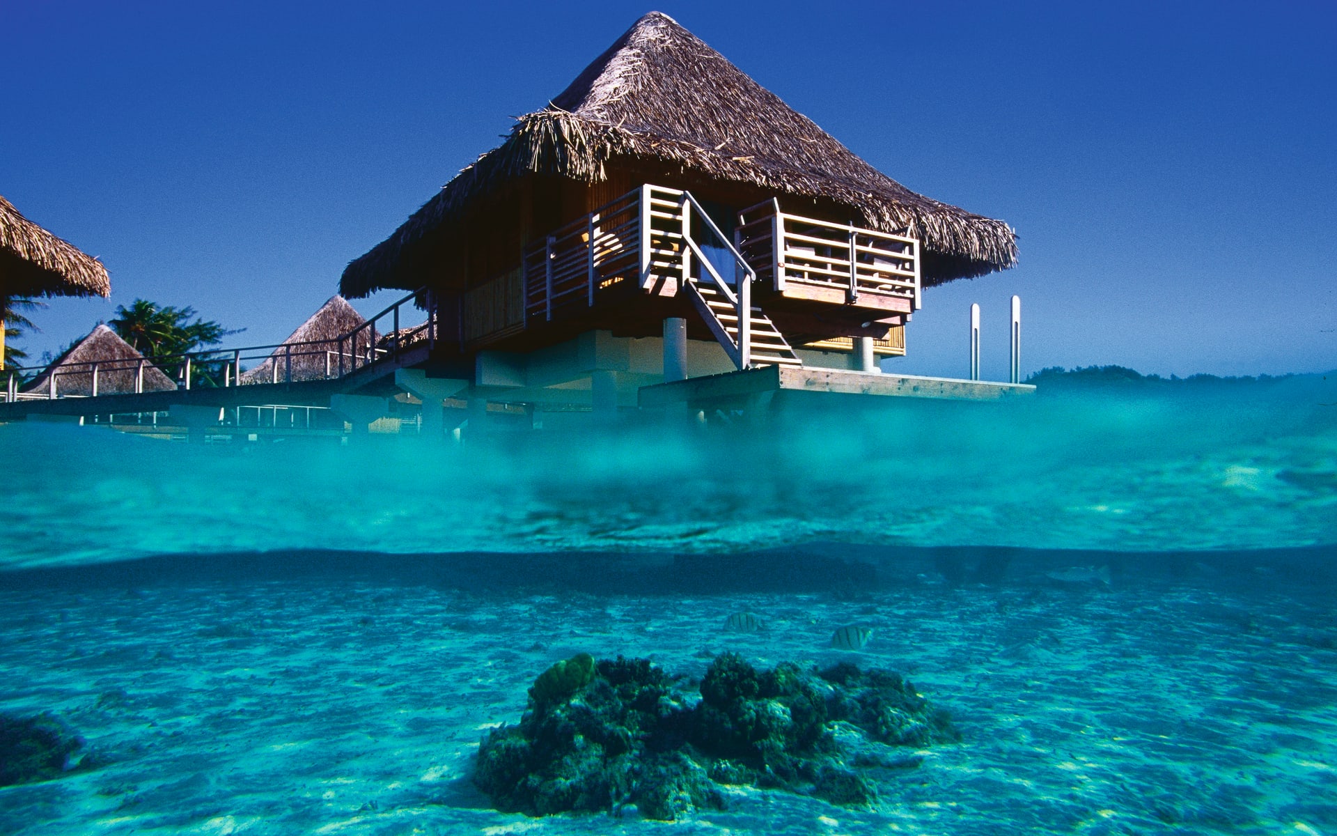 You can see underneath the ocean's surface as well as the top of a thatched-roof villas. 