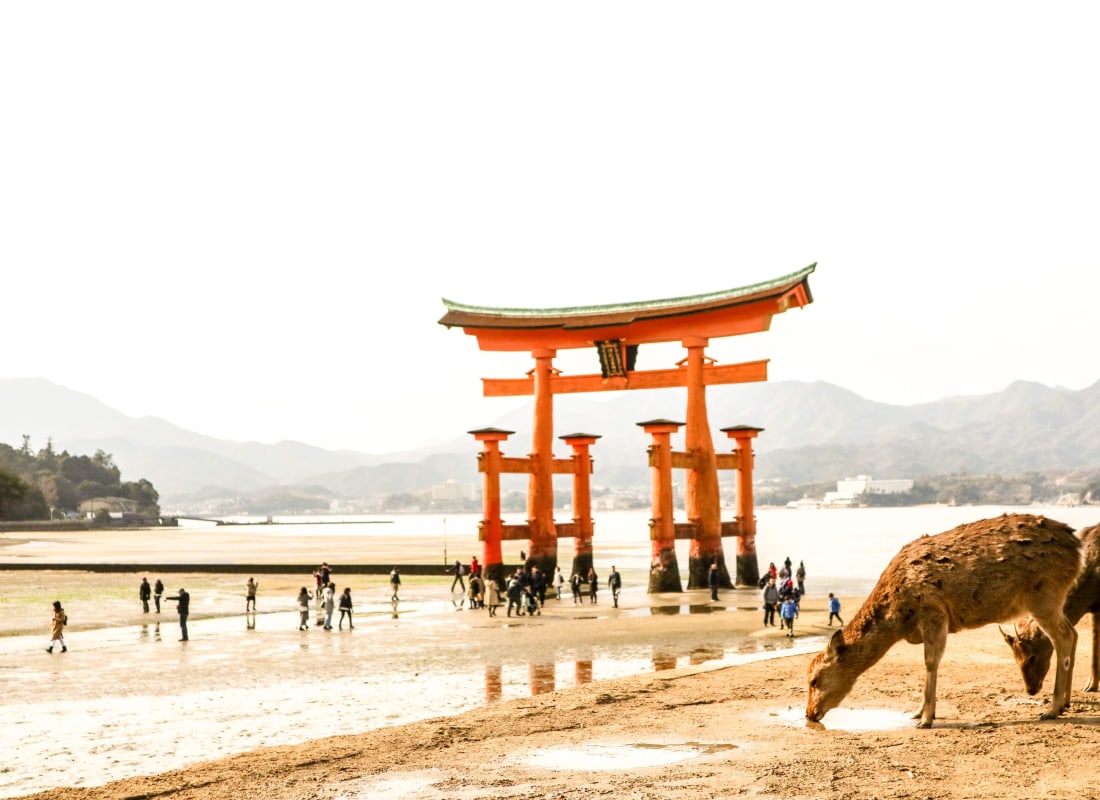 A deer is standing in front of the Itsukushima Shrine. 