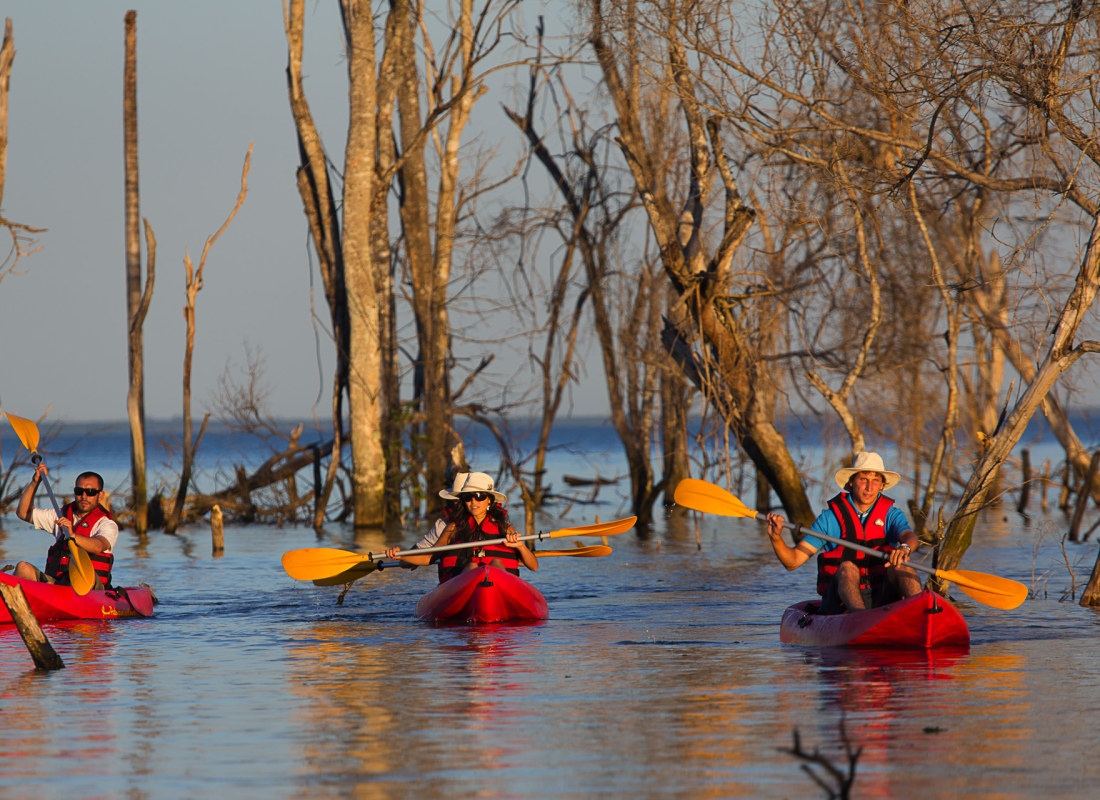A group of three are kayaking amongst trees as the sun casts an orange glow across the landscape. 