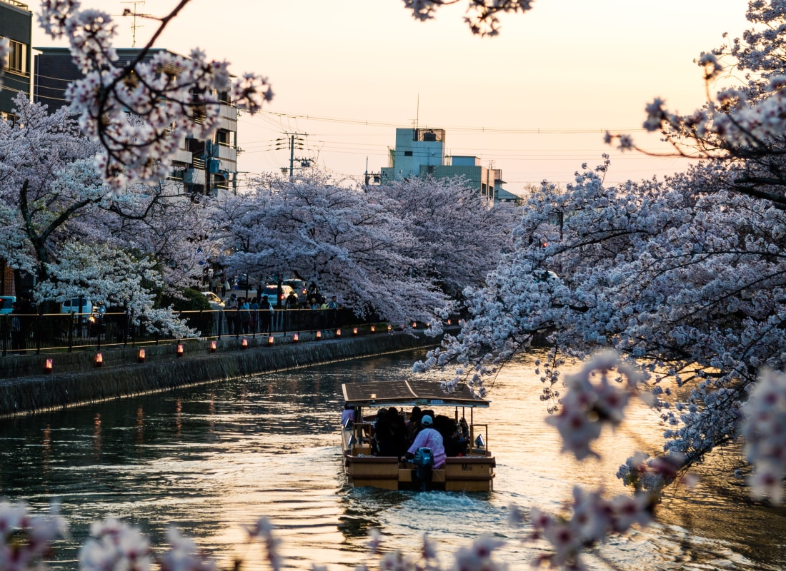 Sunset Cruise in Kyoto 