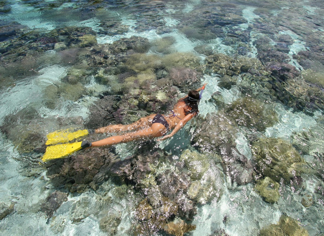 A woman is snorkelling in the ocean.