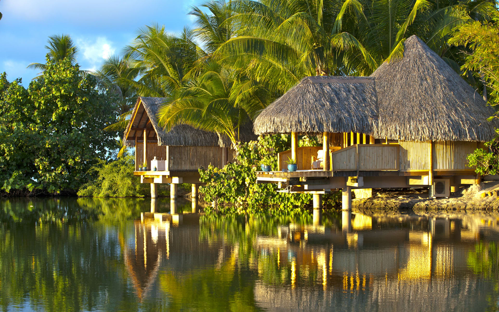 An overwater villa is surrounded by trees and reflected into the ocean. 