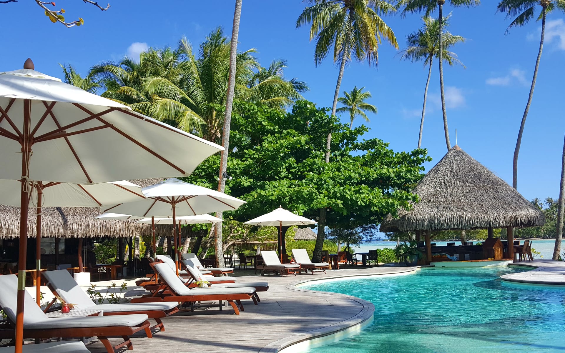 Sunloungers and white umbrellas overlook a blue pool and a thatched-roof pool bar.  