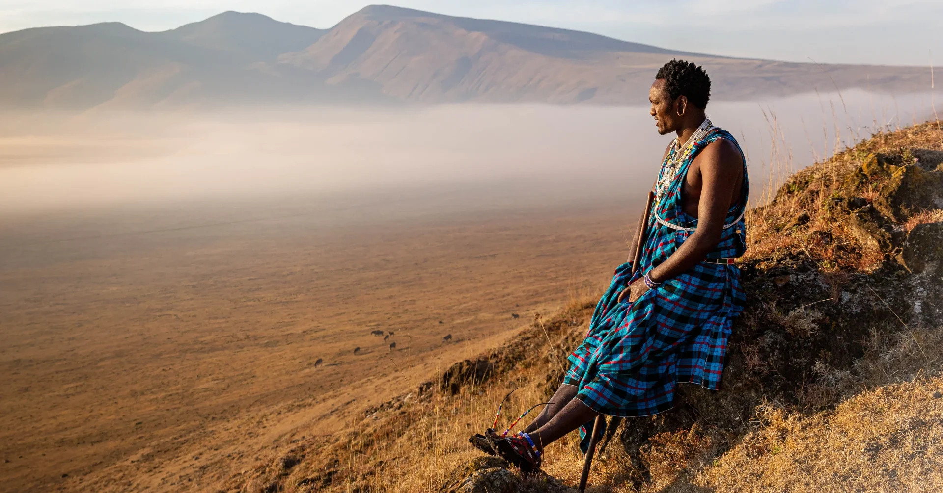 A Wayfairer Response: The Displacement of the Maasai People