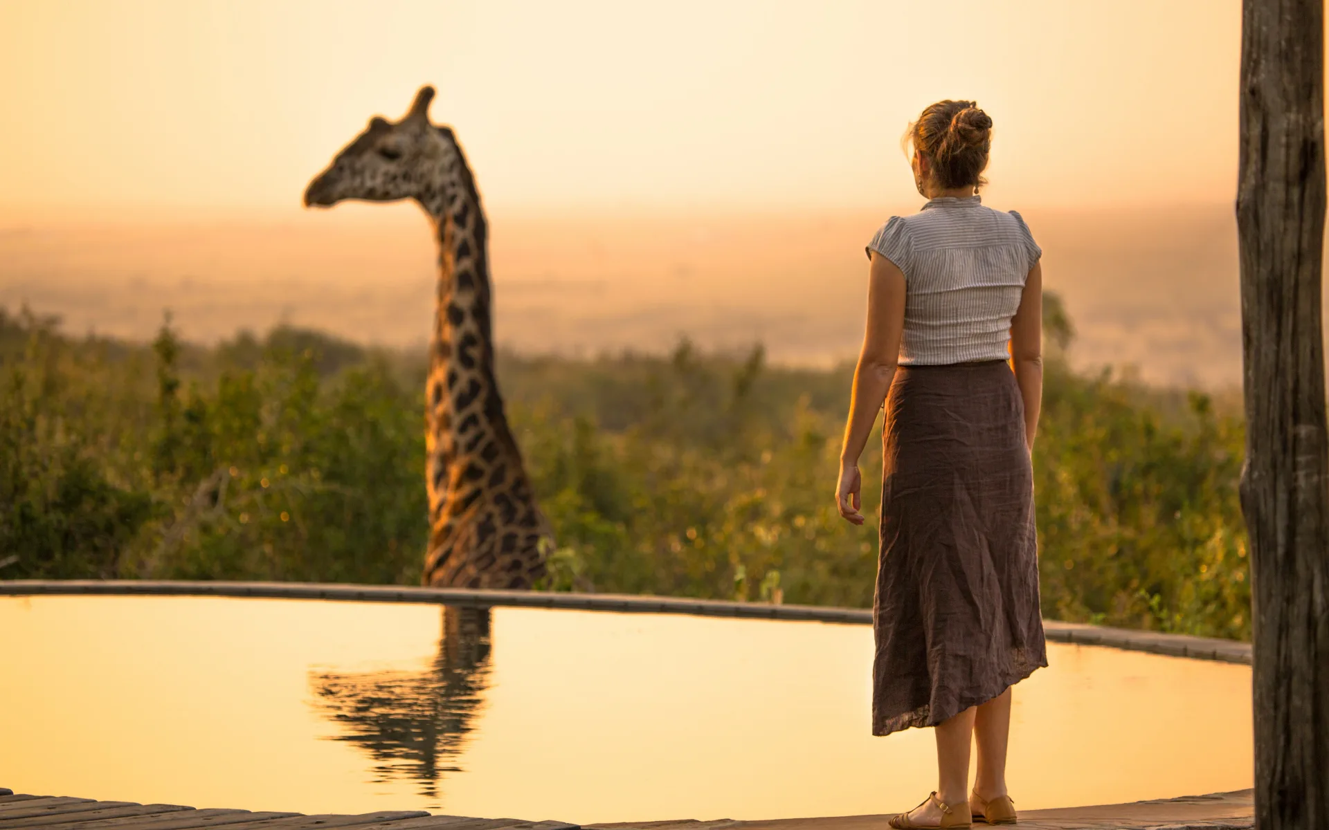 A giraffe peaks out from beyond the infinity pool walls. A lady stands and gazes at it during a vibrant, orange sunset.