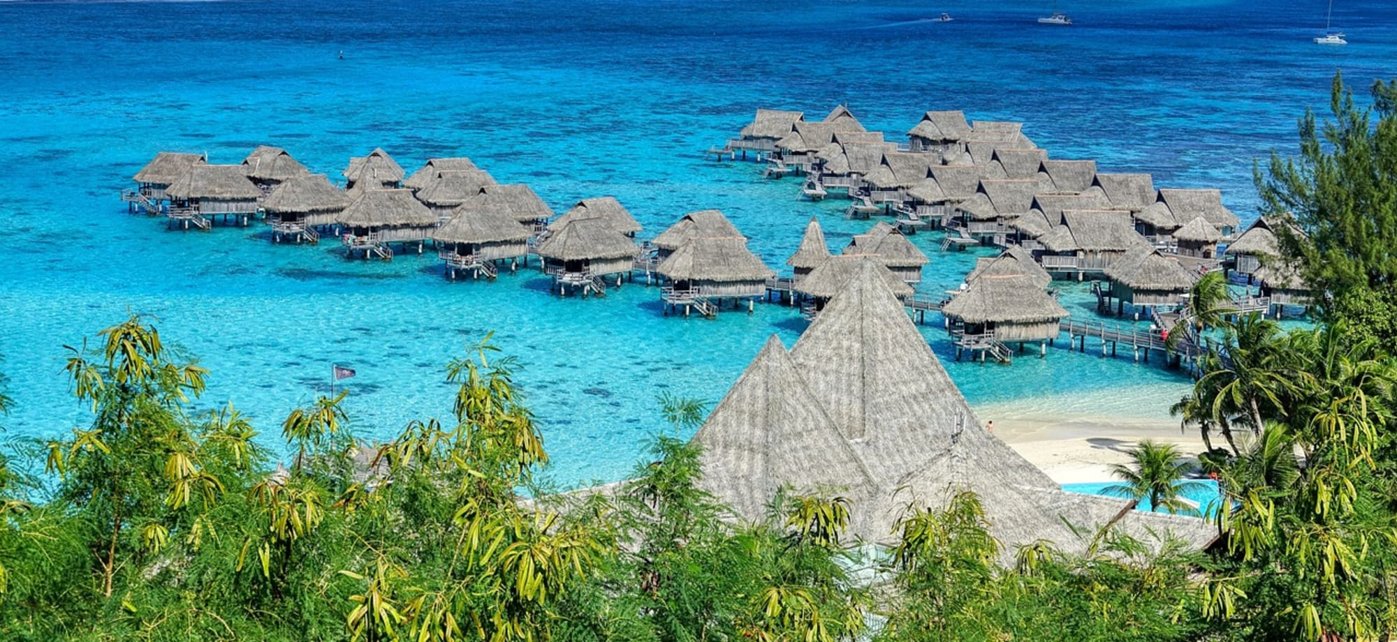 Overwater villas in Mo'orea are surrounded by trees, sand and the turquoise ocean. 