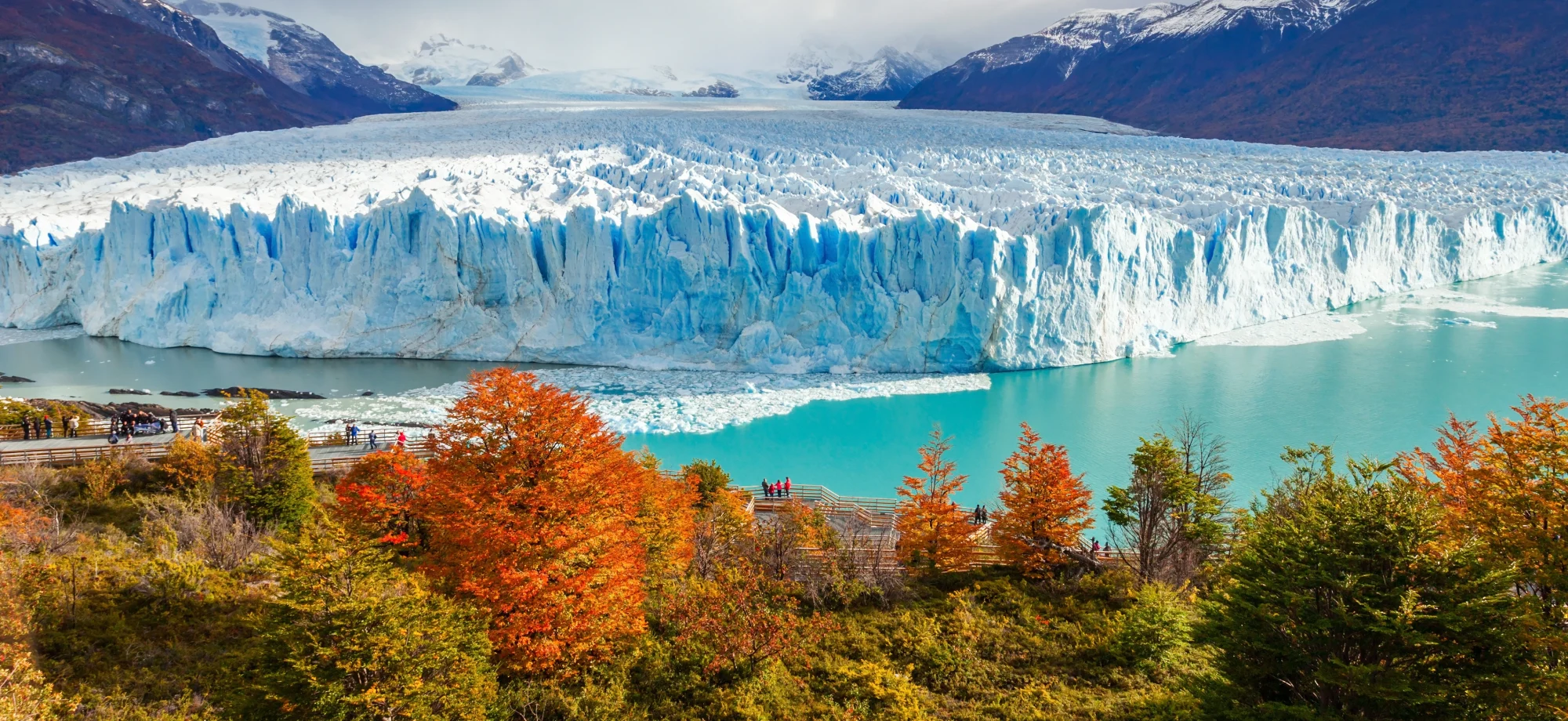 Orange and green trees overlook the turquoise water that fronts the icebergs at Perito Moreno Glacier. 