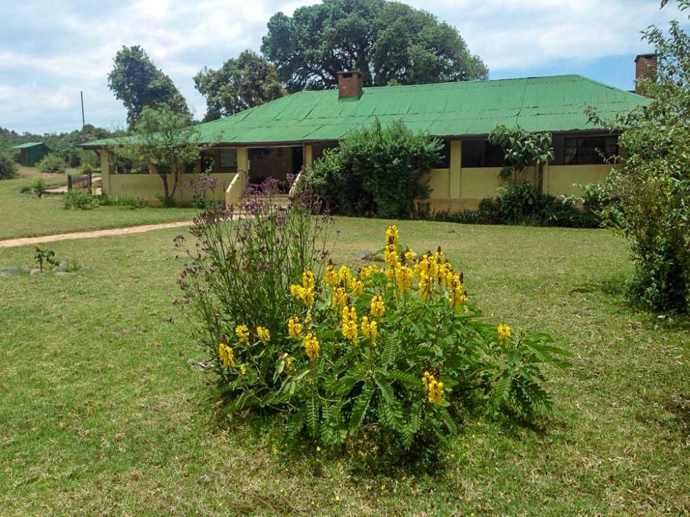 Exterior of Rhino Lodge surrounded by yellow flowers
