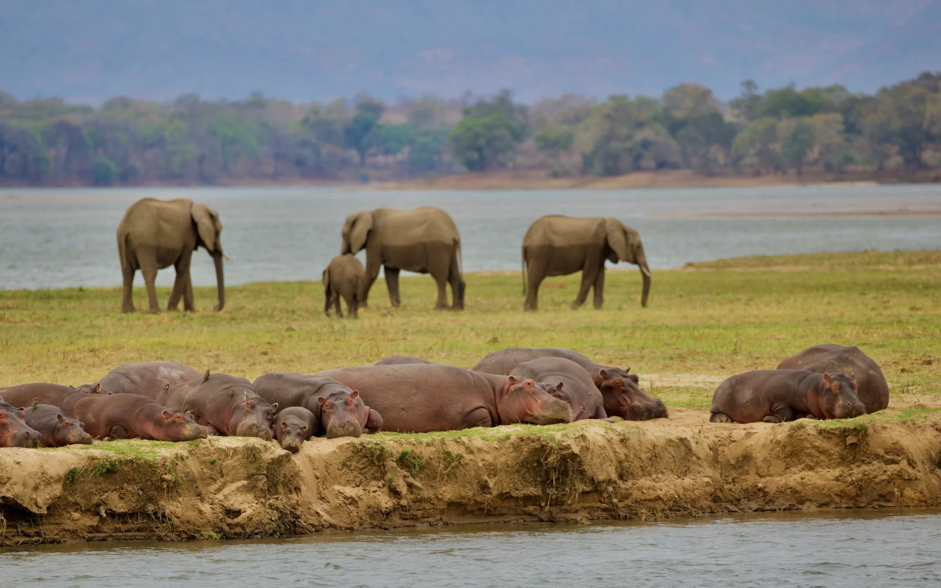 Two-Week Conservation Safari in Zimbabwe