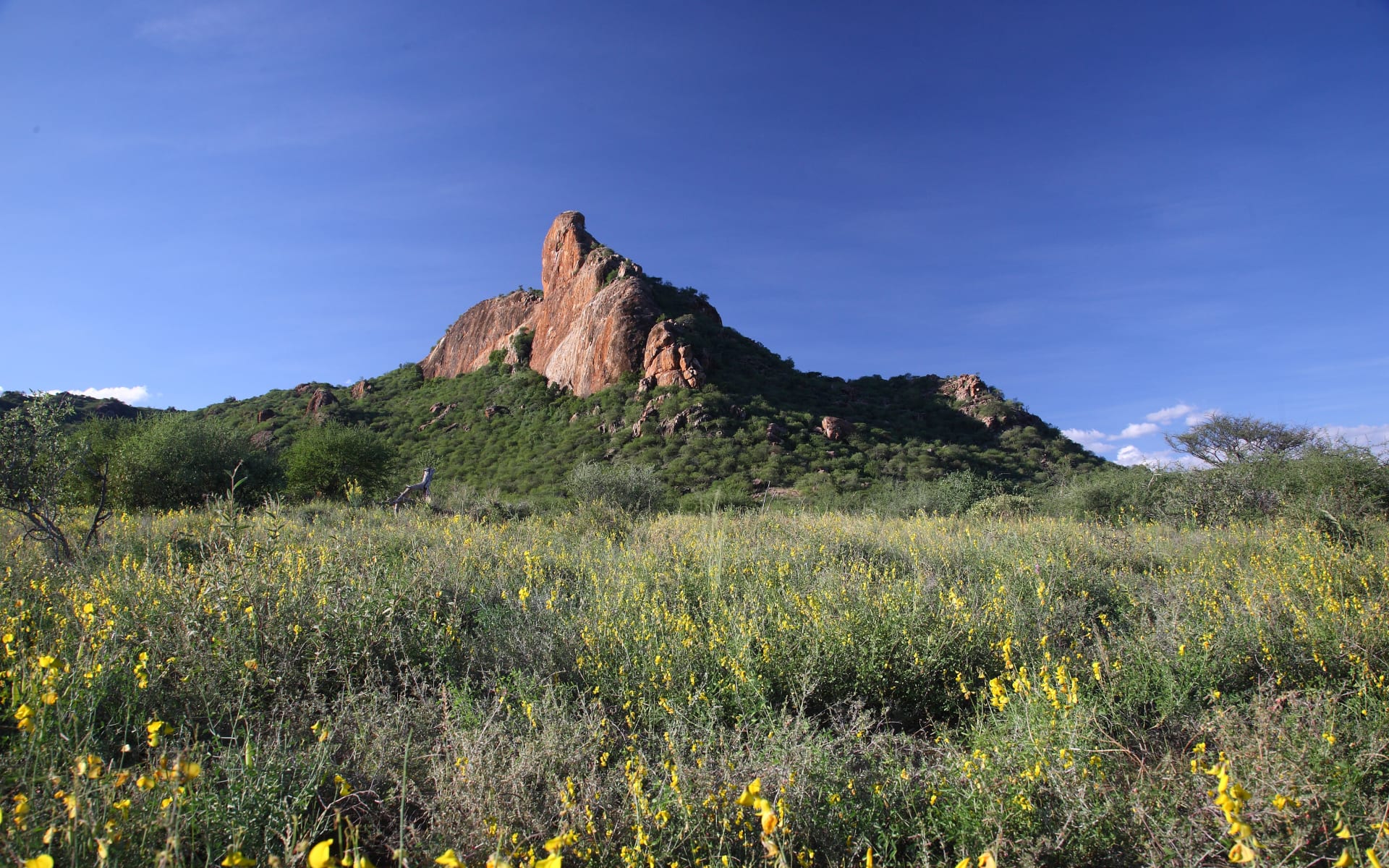 Saruni_samburu_kenya__kalama_conservancy1_fhjqeq
