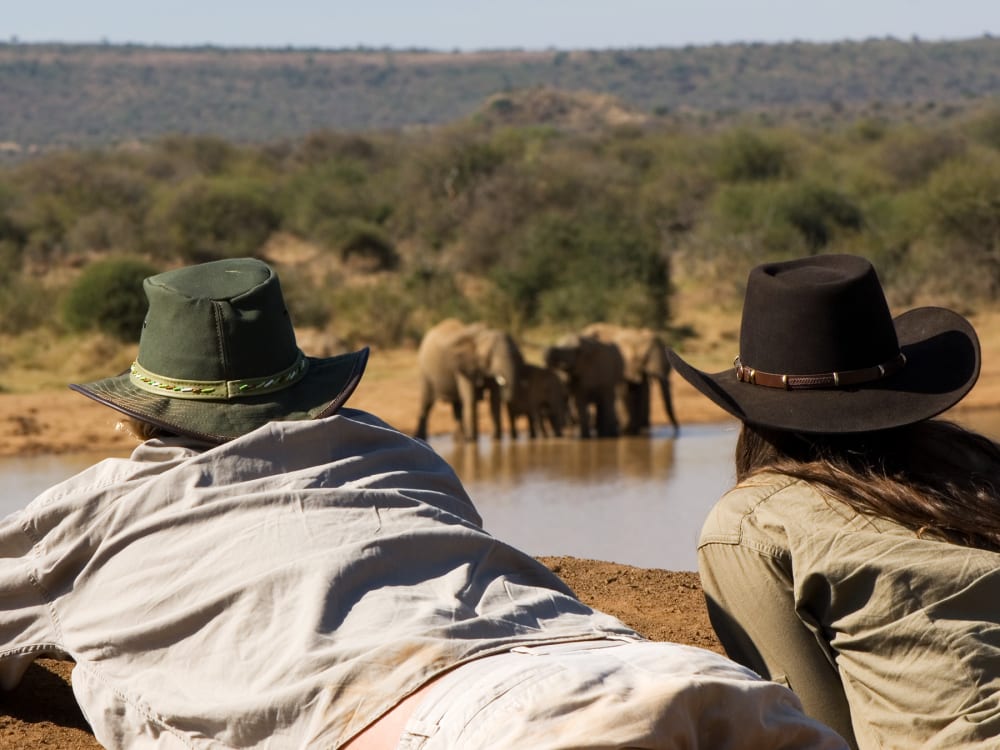 Sosian_lodge_kenya_Elephant_viewing