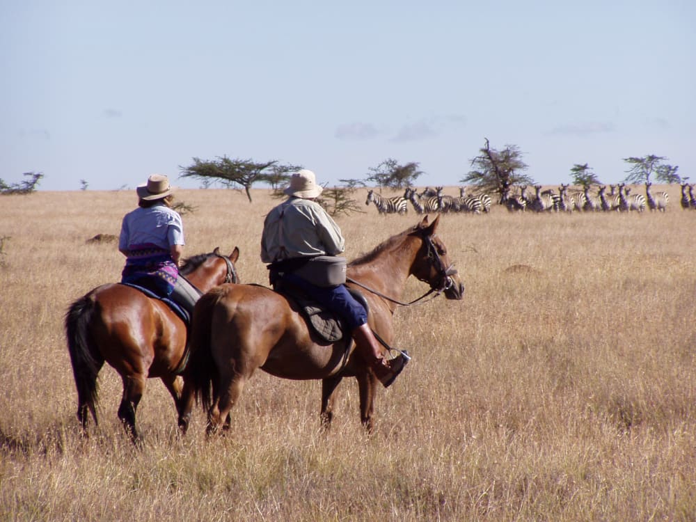 Sosian_lodge_kenya_horses_on_plains-1
