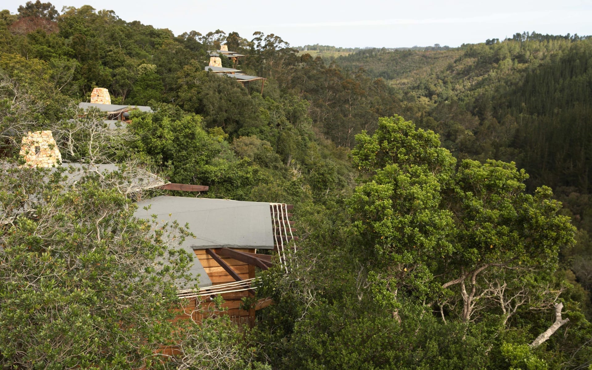 South_africa_garden_route_Tsala_Treetop_Lodge_Canopy_View_zzmgia