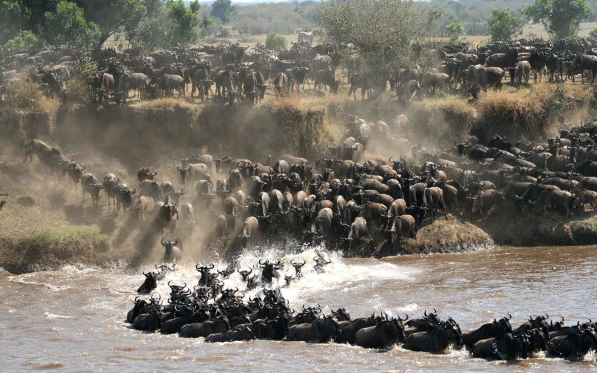 Tanzania_lamai_serengeti_The_Great_Migration_1_1_hp7sf0-1