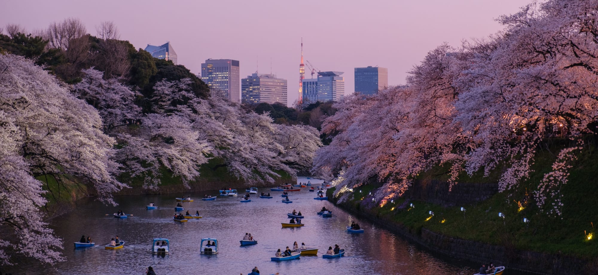 Tokyo_Free_Stock_Image_Unsplash_2019_CCYu_Kato_p1jujj-1