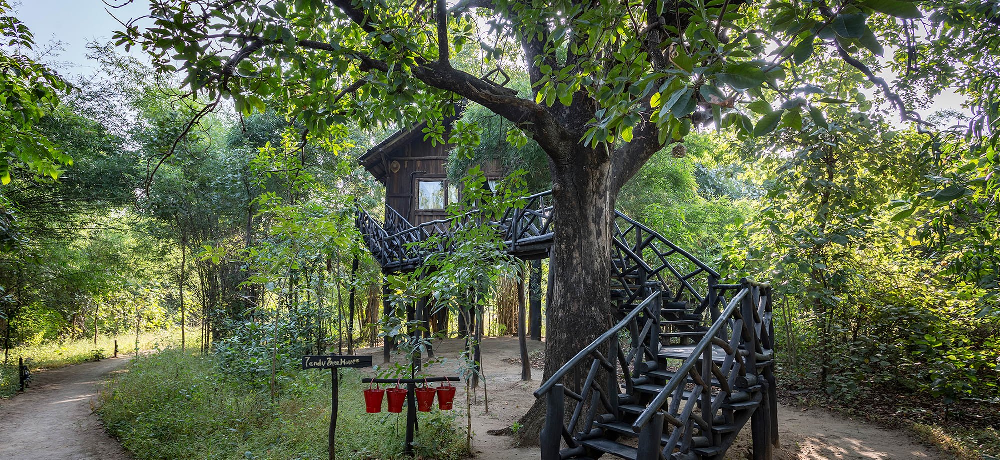 Tree_House_Hideaway_Stairs_medeoh