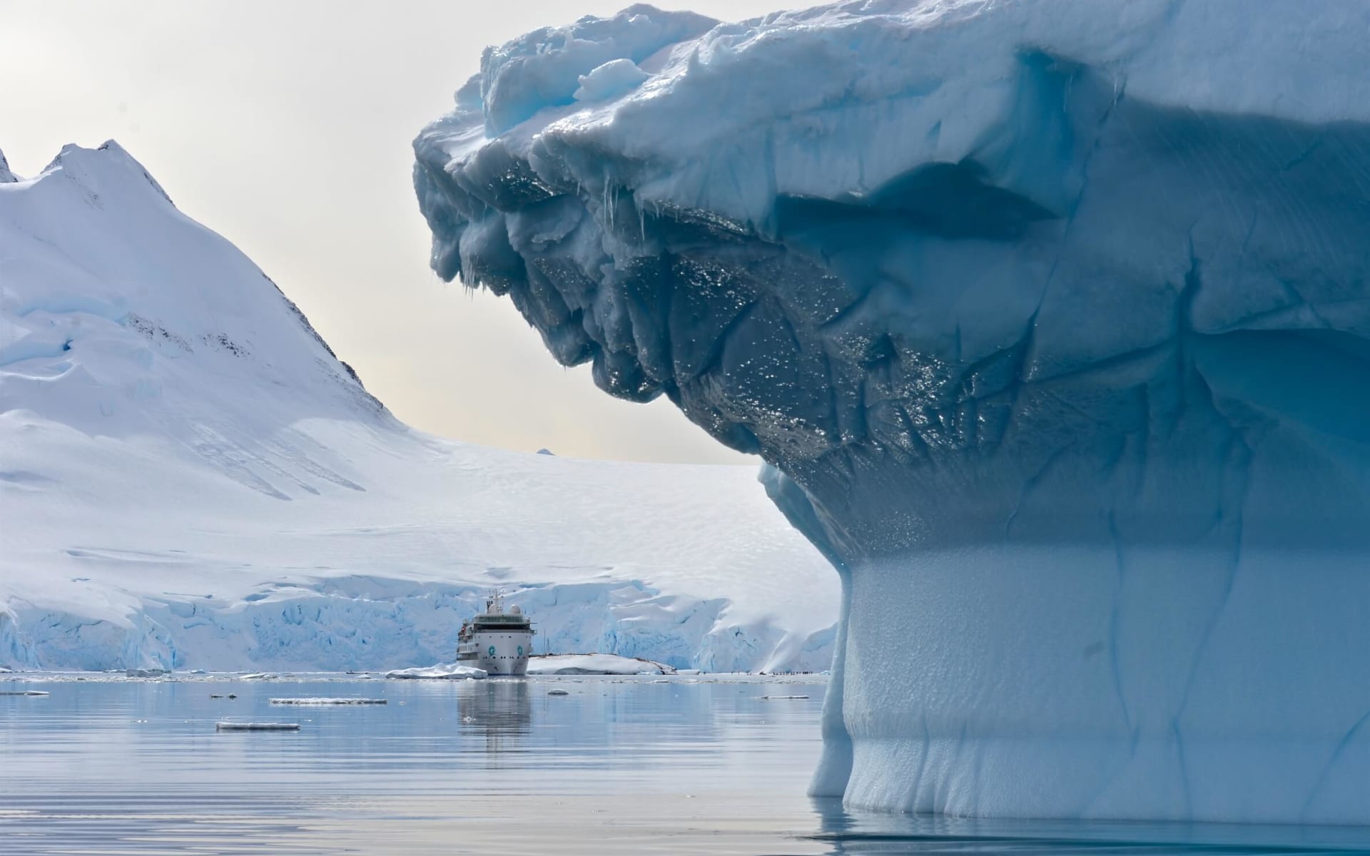 antarctica_greg_mortimer_CCsergei-andronov_iceberg_ship