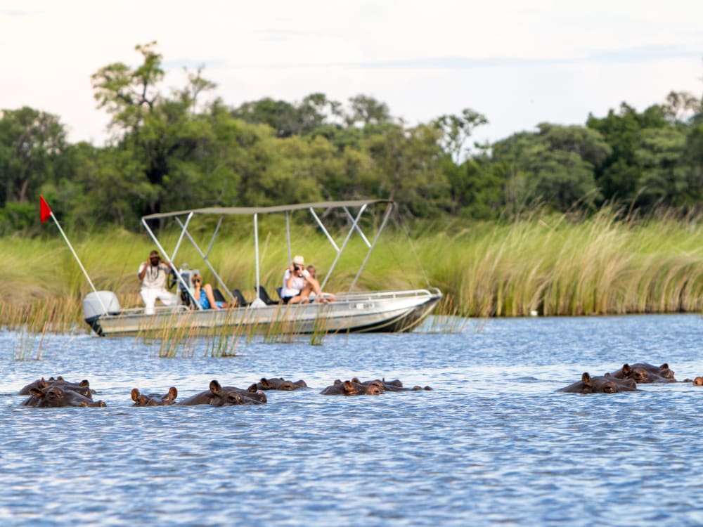 camp_moremi_boat_ylgcv3-2