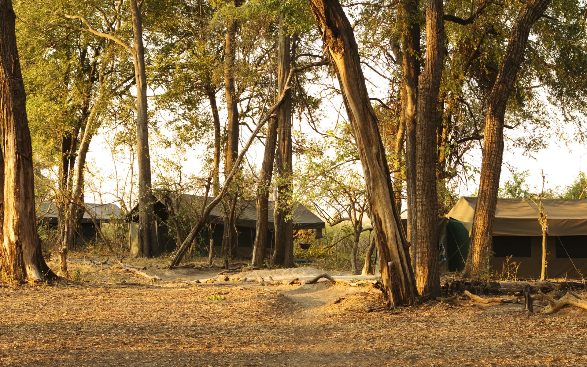 footsteps_across_the_delta_botswana_camp-1