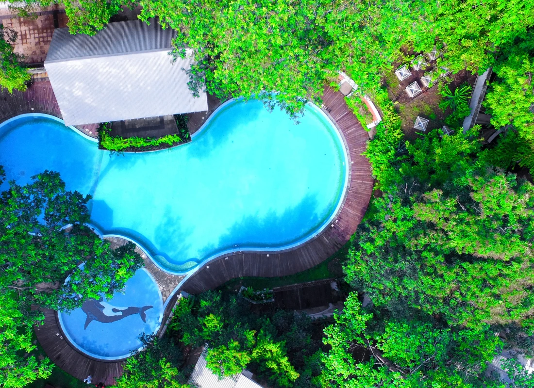 An aerial view of the outdoor pool, surrounded by emerald foliage.