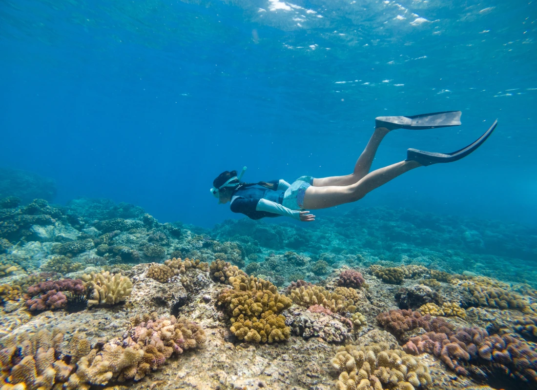 A woman is snorkelling amidst Jungle Beach's nearby coral reefs.