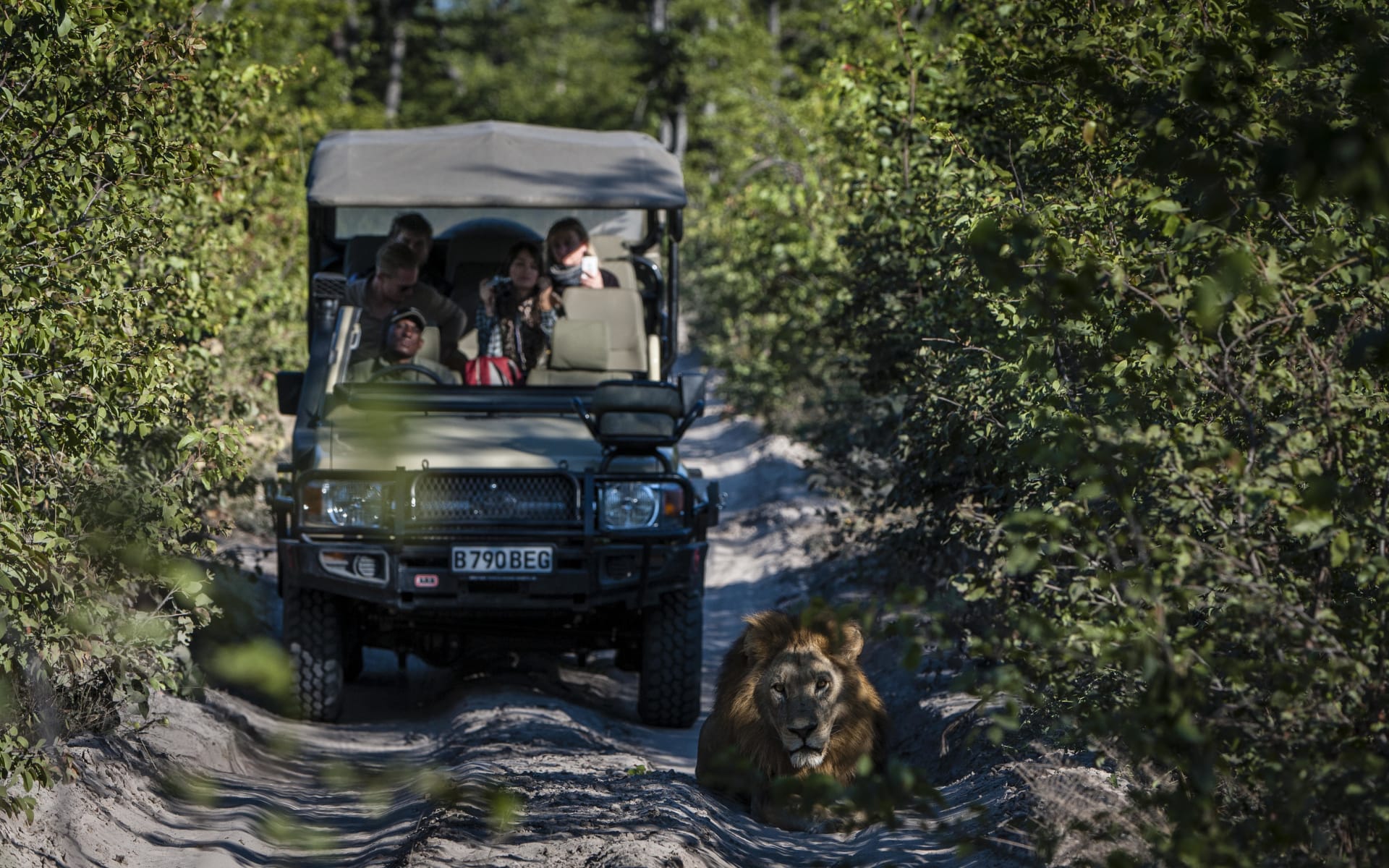 kwai_skybeds_game_drive_bsskzd