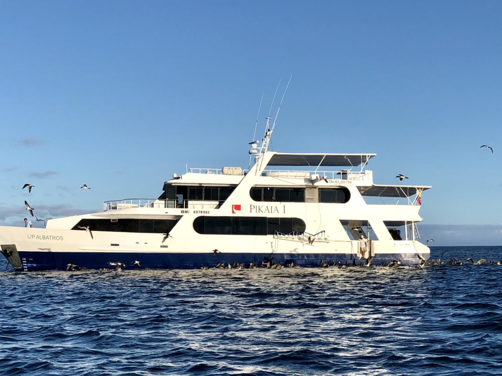 Pikaia Lodge's private yacht in the ocean