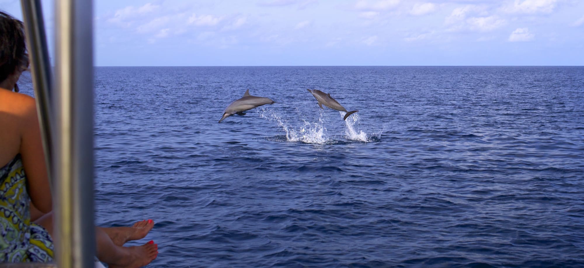 six_senses_laamu_maldives_Dolphin_Cruise-1