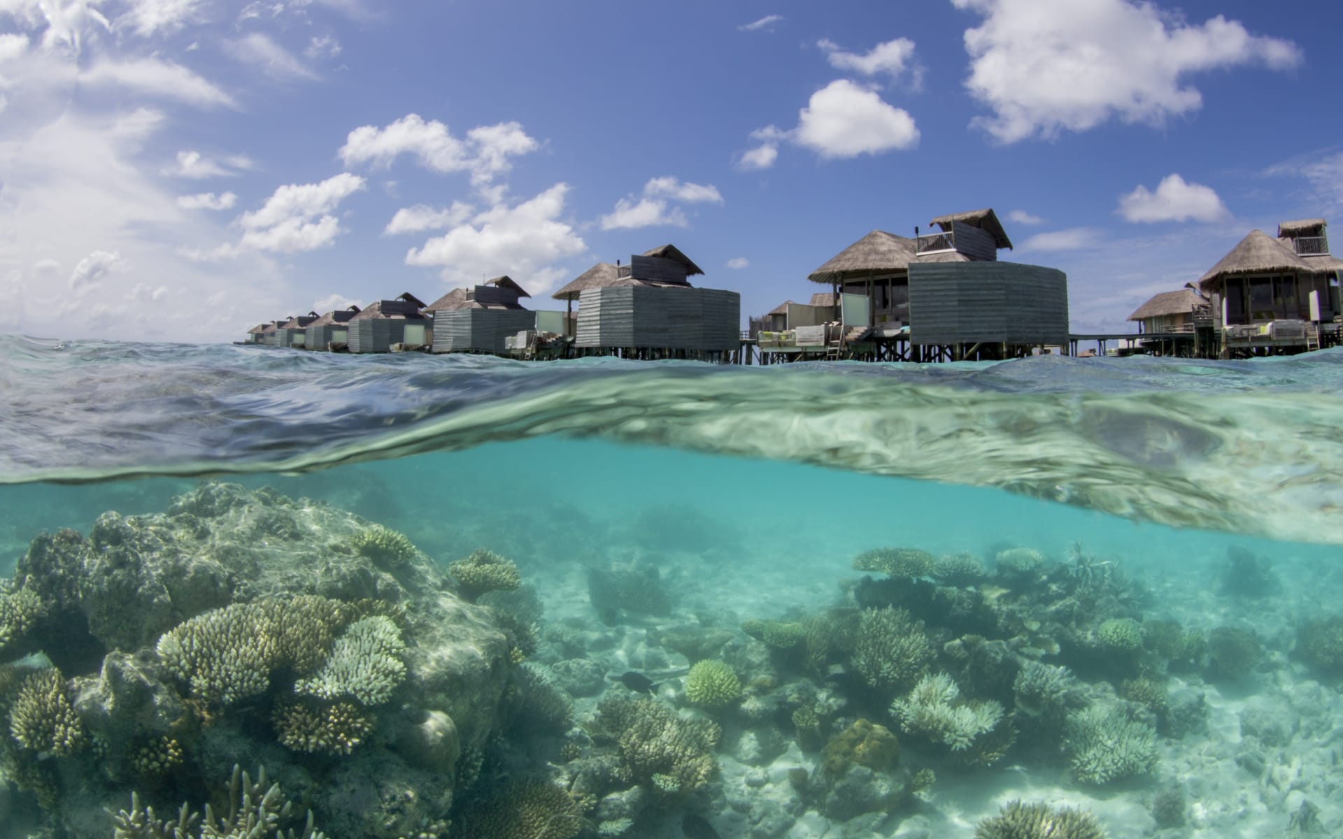 six_senses_laamu_maldives_Water_Villas_and_Reef-1