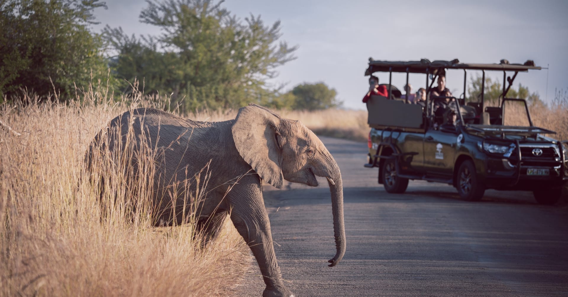A Guide to Safari Safety in Africa