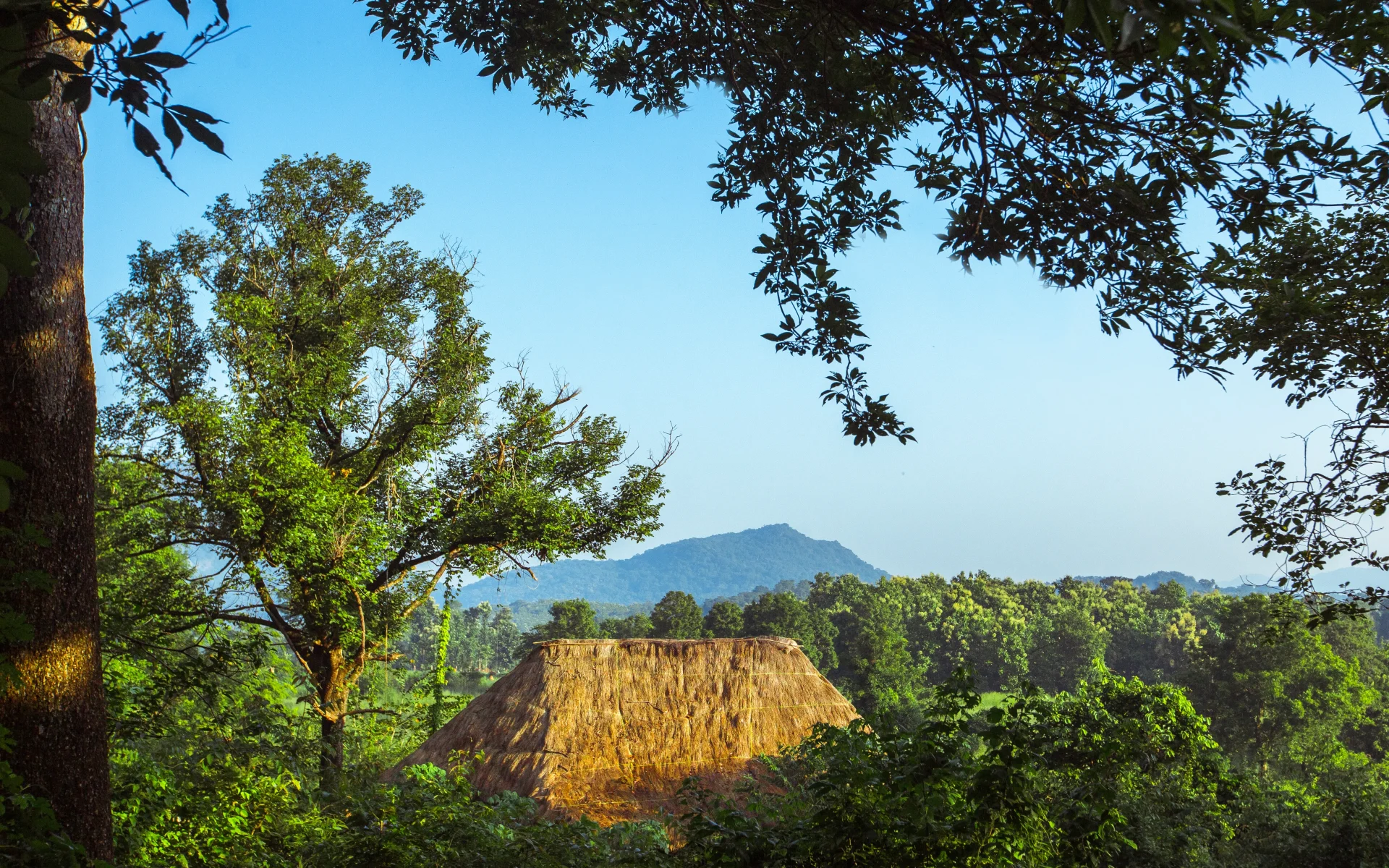 One of the thatched-roof huts peaks out from the trees during a clear, sunny day.