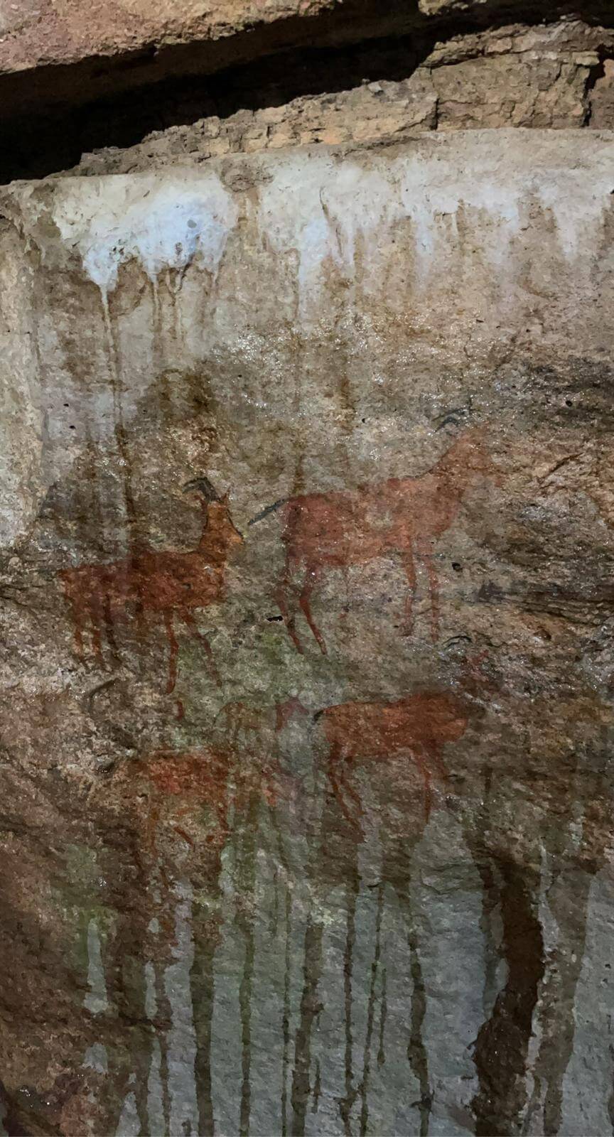 Rock art found in caves on Leobo Reserve