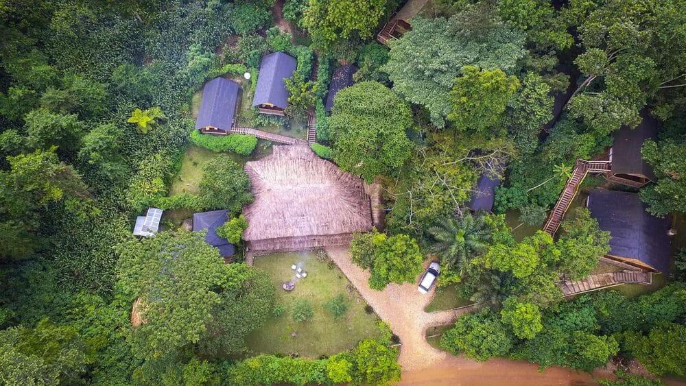 aerial view of the eco chalet at buhoma lodge outside bwindi impenetrable national park, uganda