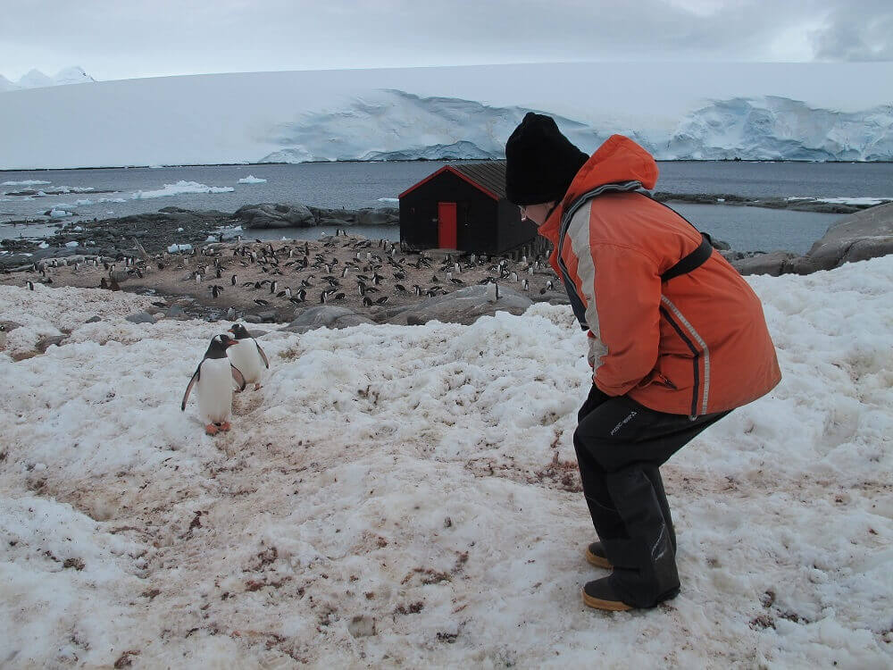 Antarctica expedition pengiun encounter