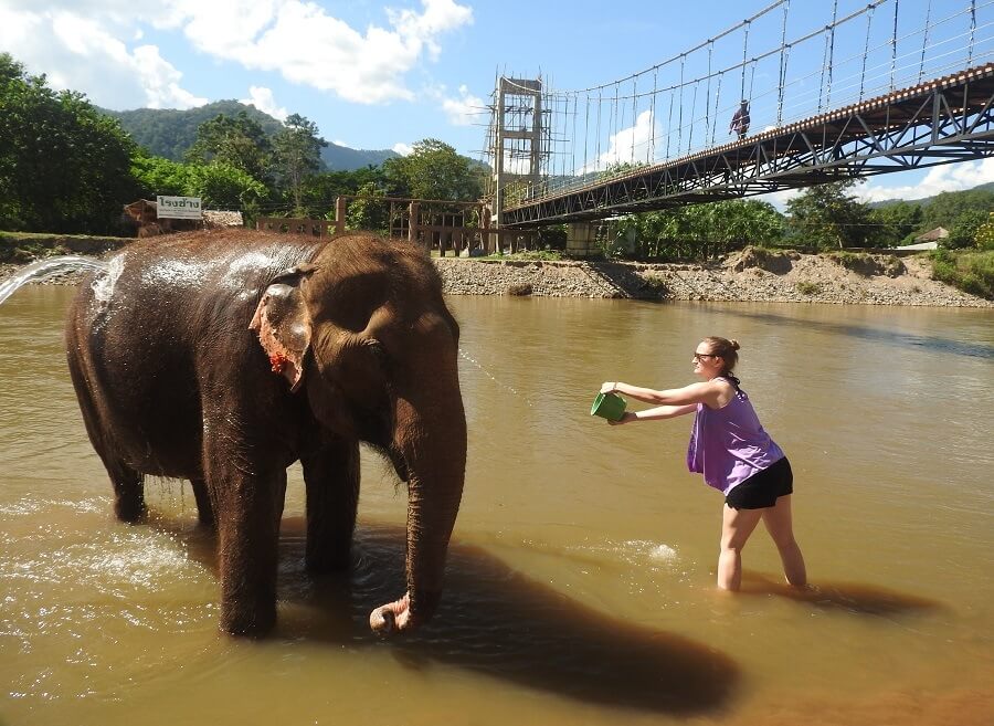Thea bathing the elephants in ENP