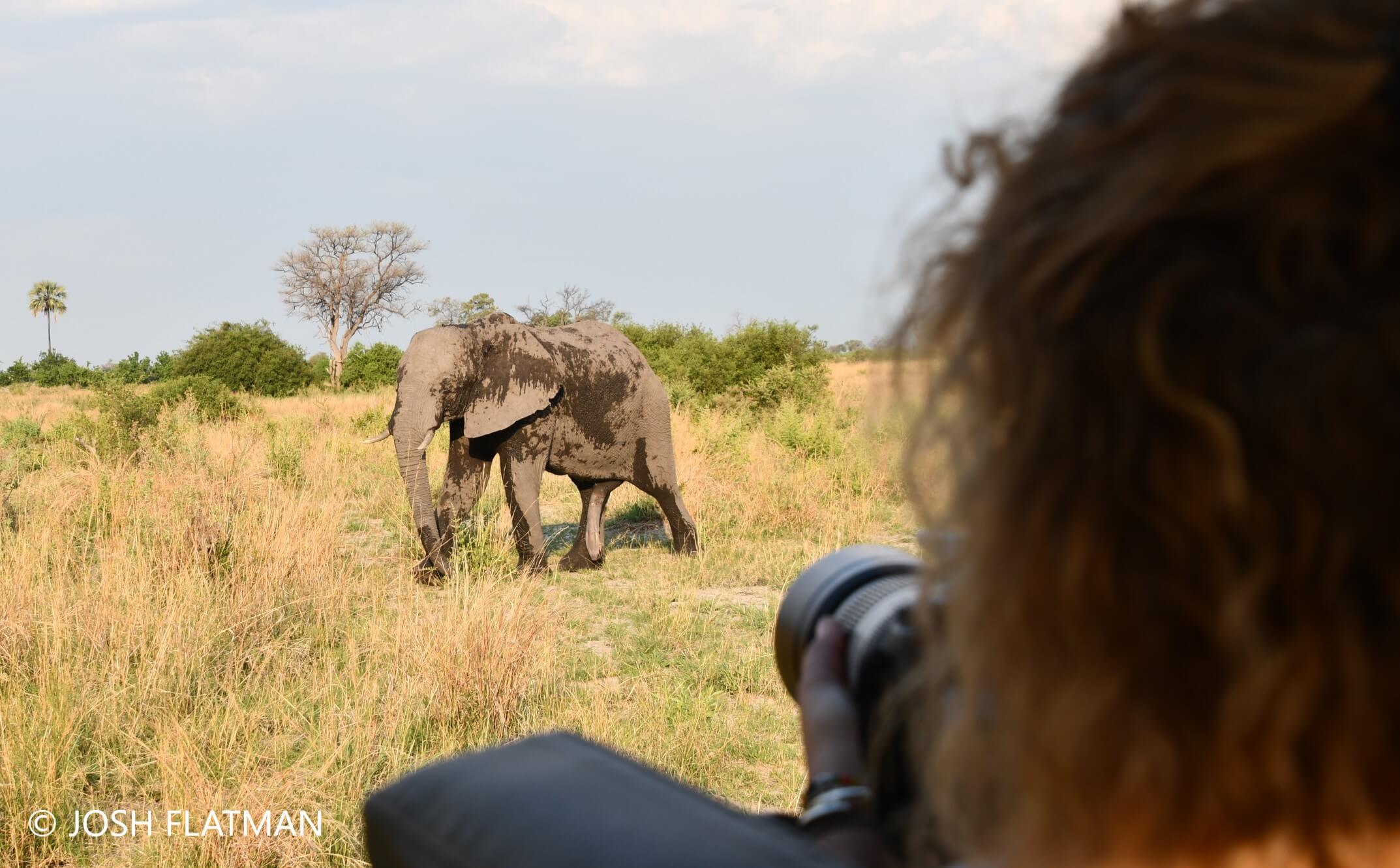 botswana_safari_elephants_josh_photos