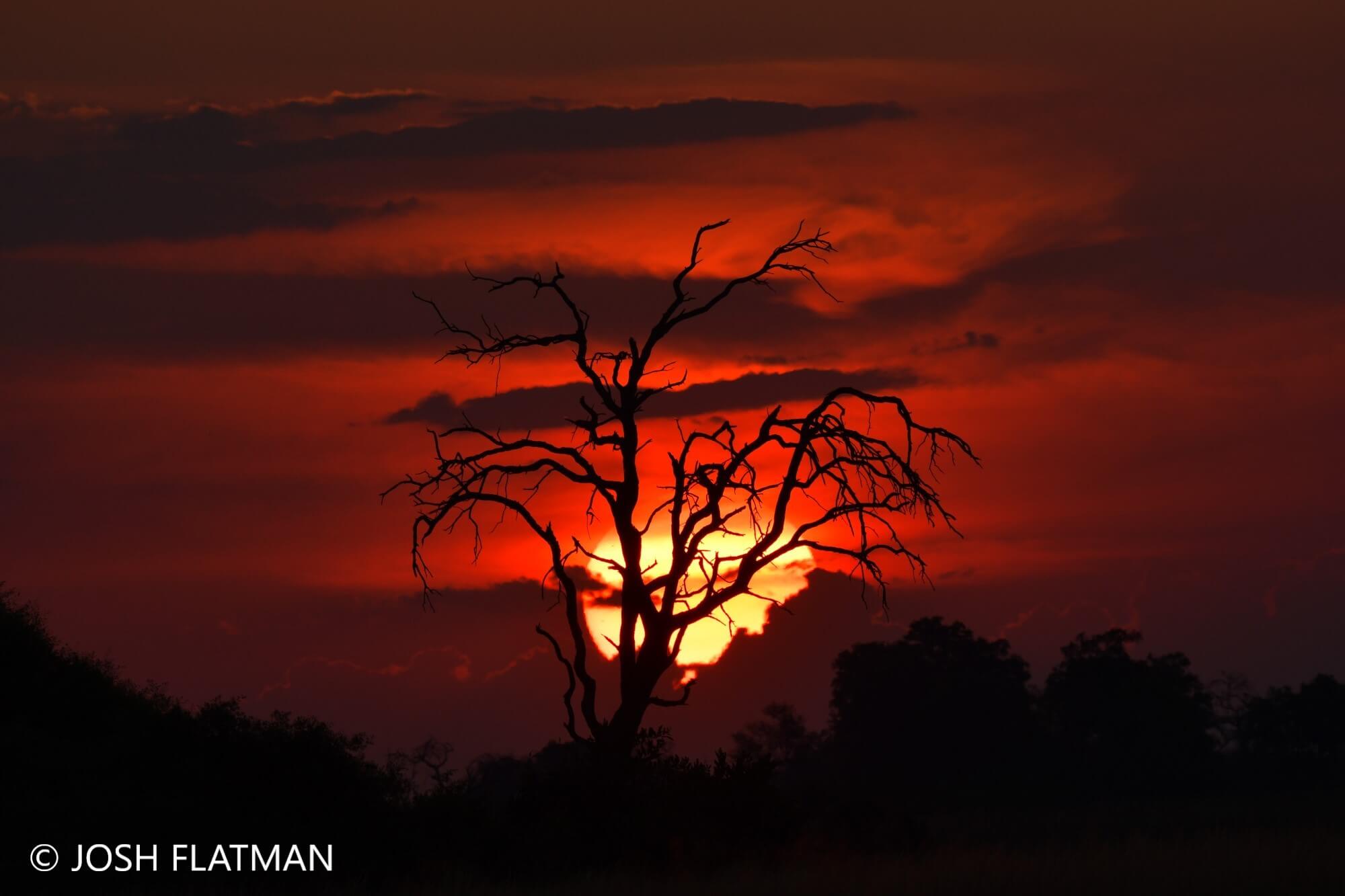 botswana_safari_sunset_josh_photos