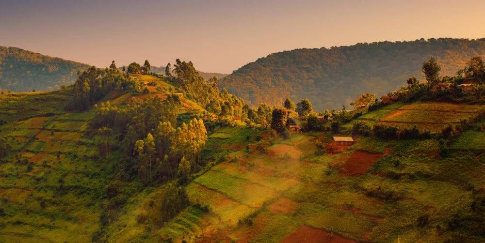 golden sunset over the mountains and forests of bwindi impenetrable national park, uganda