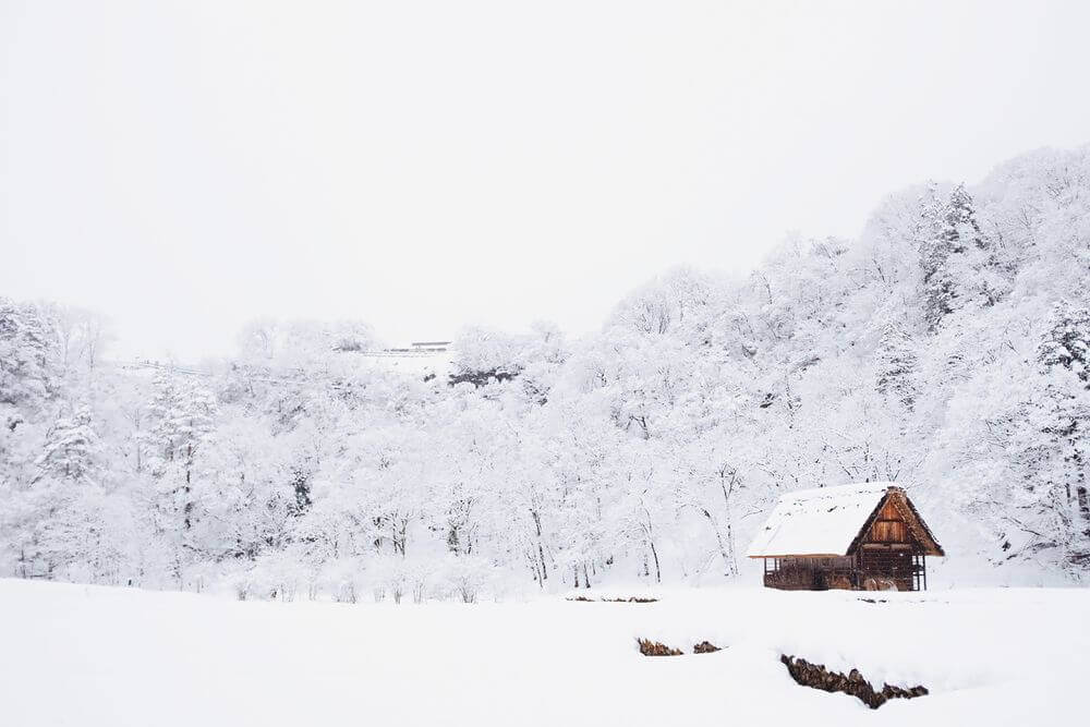 cabin in the snowy woods surrounded by trees