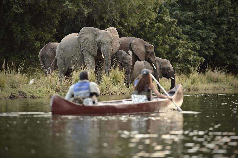 canoe safari zambia south luangwa national park elephants african safari