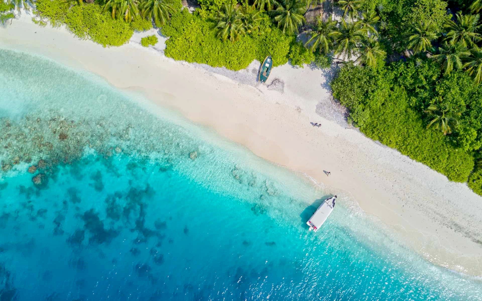 Wayfairer Travel Guide: Maldives