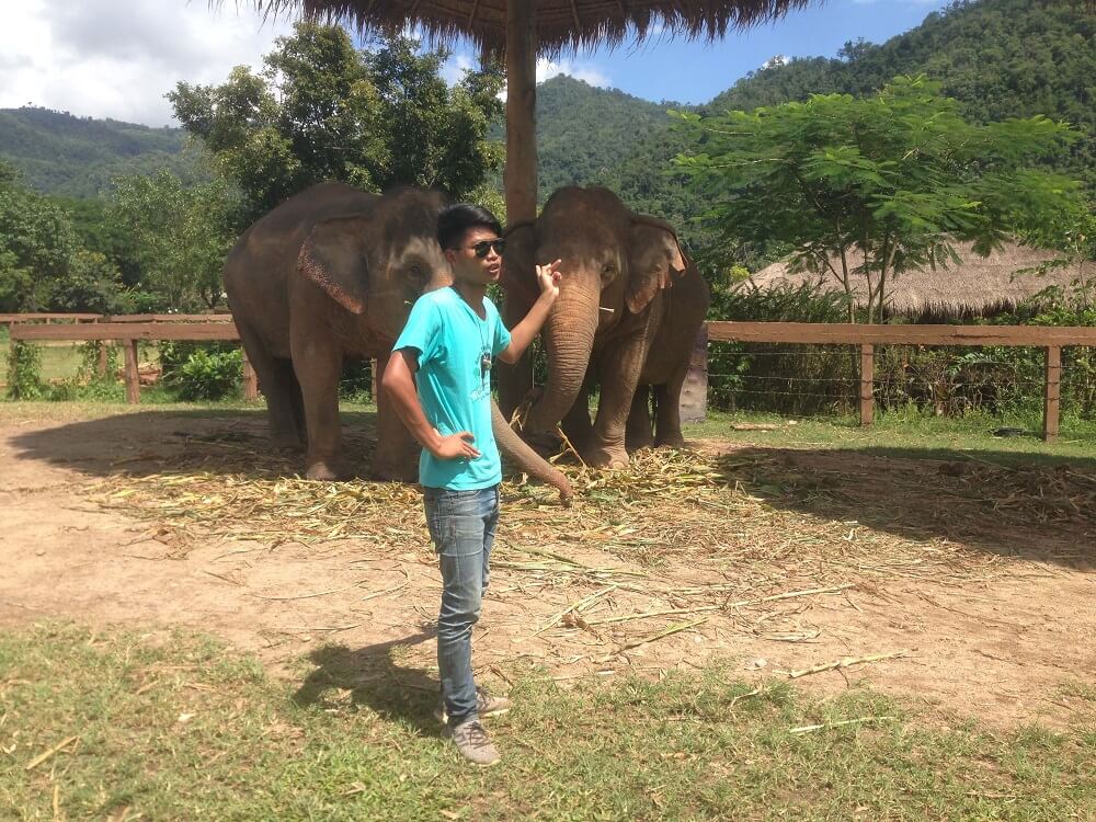 Elephant Nature Park guide educating tourists about elephants