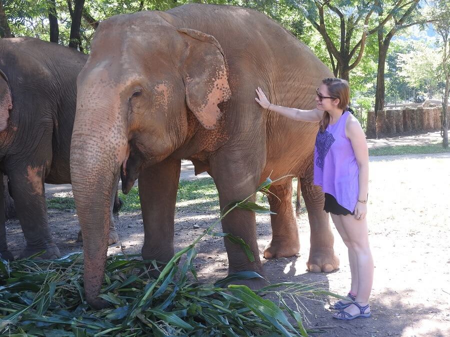 Thea patting an elephant in ENP